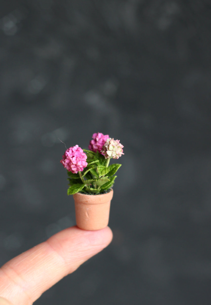 Miniature hydrangea in ceramic pot 1:12