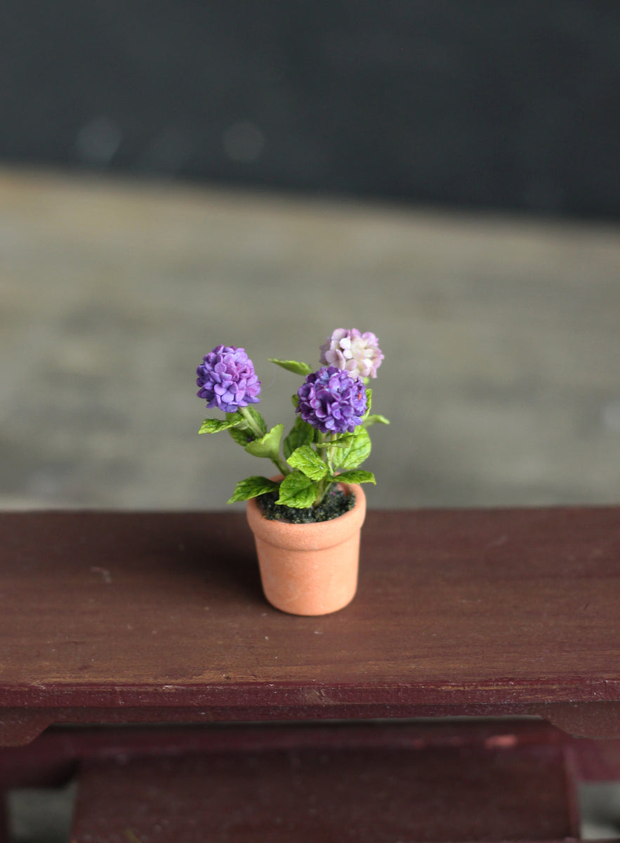 Miniature hydrangea in ceramic pot 1:12
