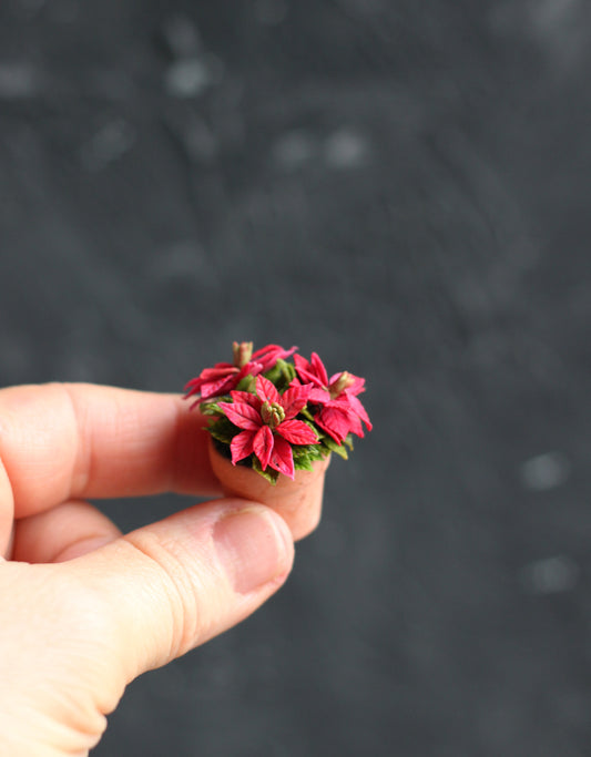 Poinsettia in a pot. 1:12