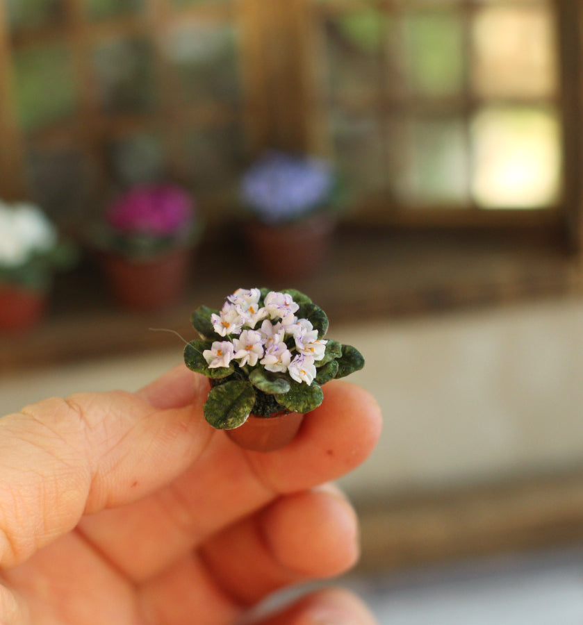 Room violet  in a pot 1:12