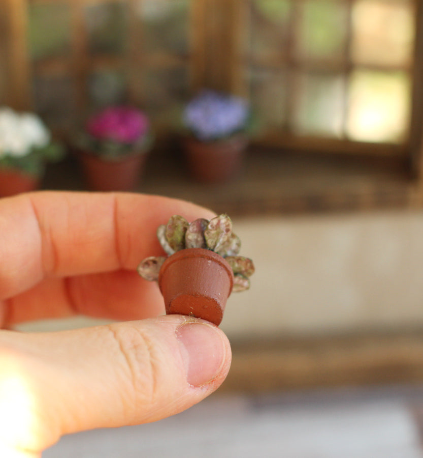 *    Room violet  in a pot 1:12