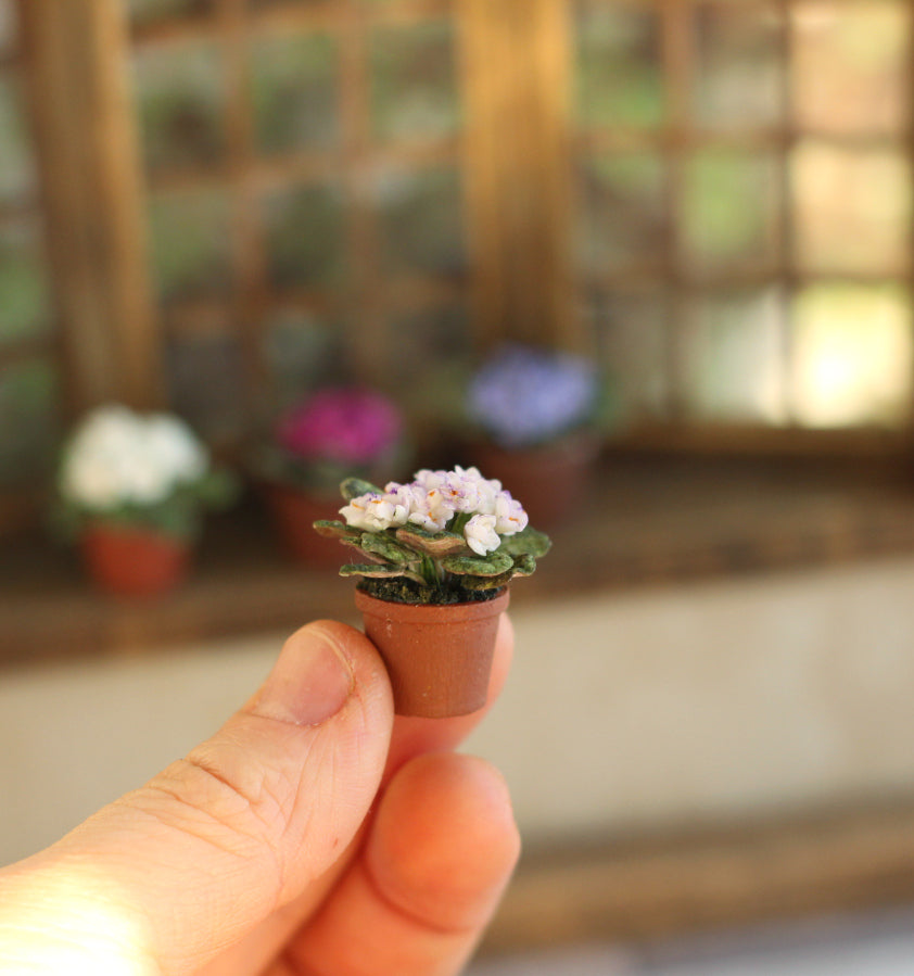 Room violet  in a pot 1:12