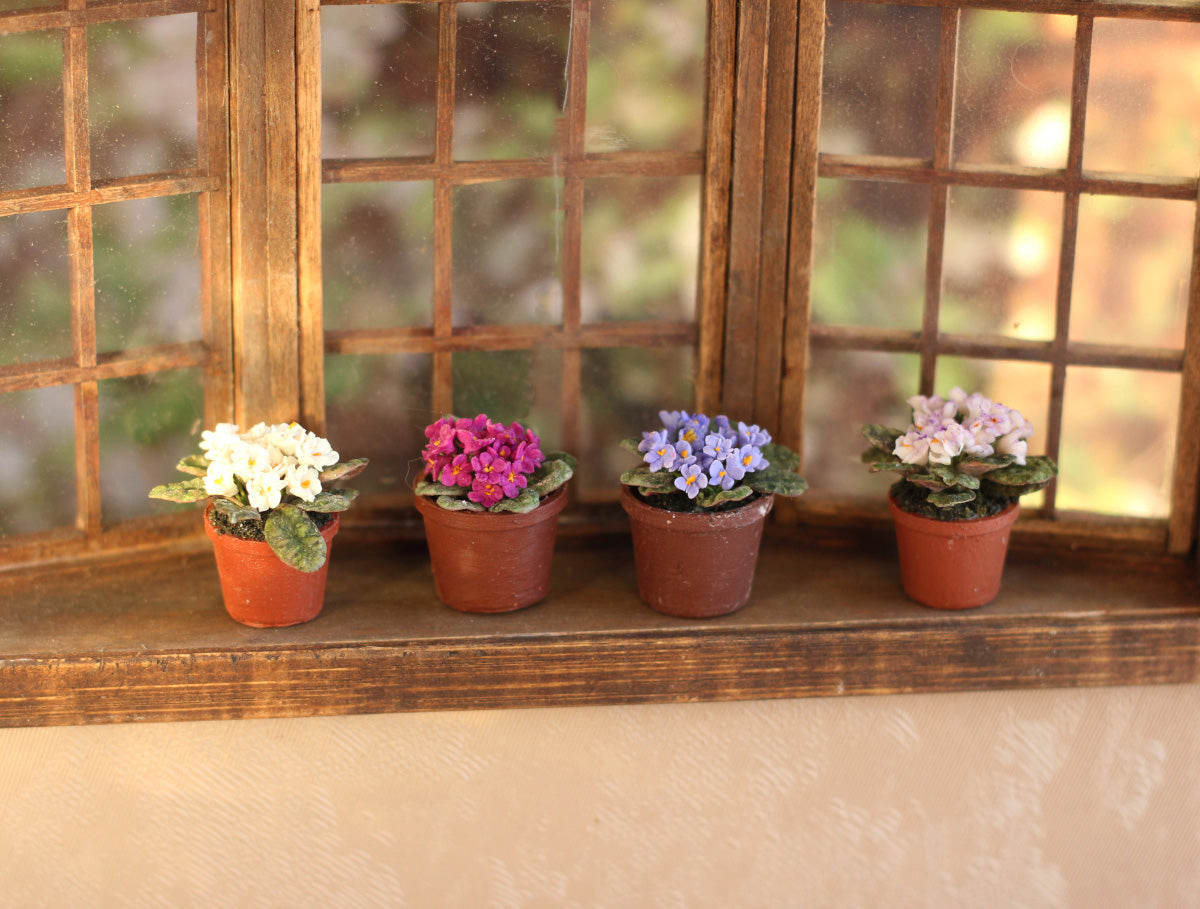 Room violet  in a pot 1:12