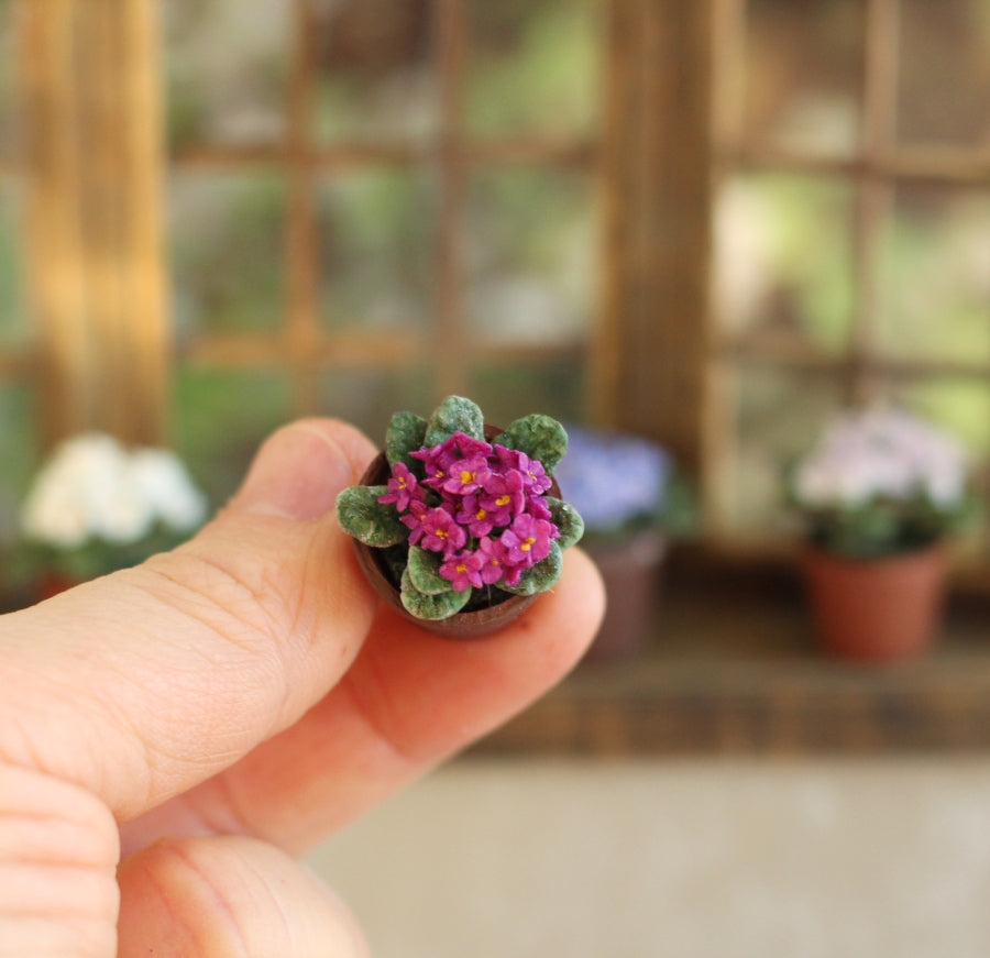 Room violet  in a pot 1:12