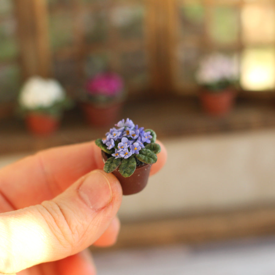 Room violet  in a pot 1:12