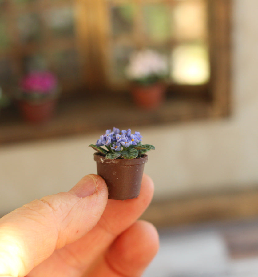 Room violet  in a pot 1:12