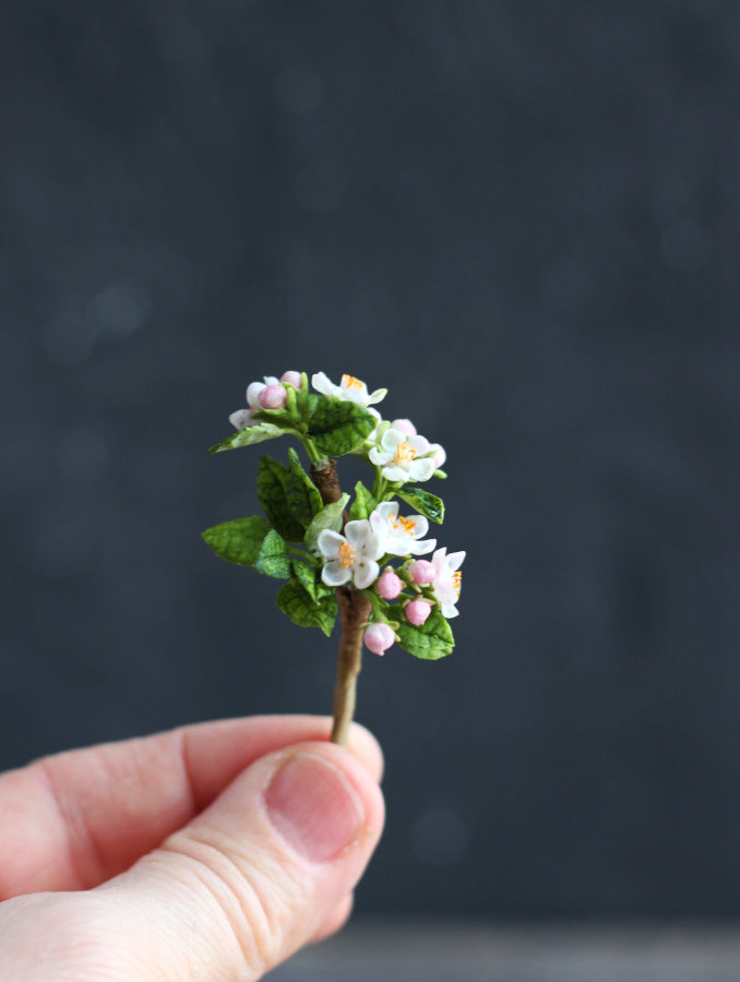 Bouquet of apple blossoms 1:6