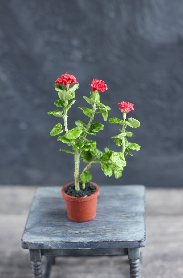 An old geranium in a 1:12 pot