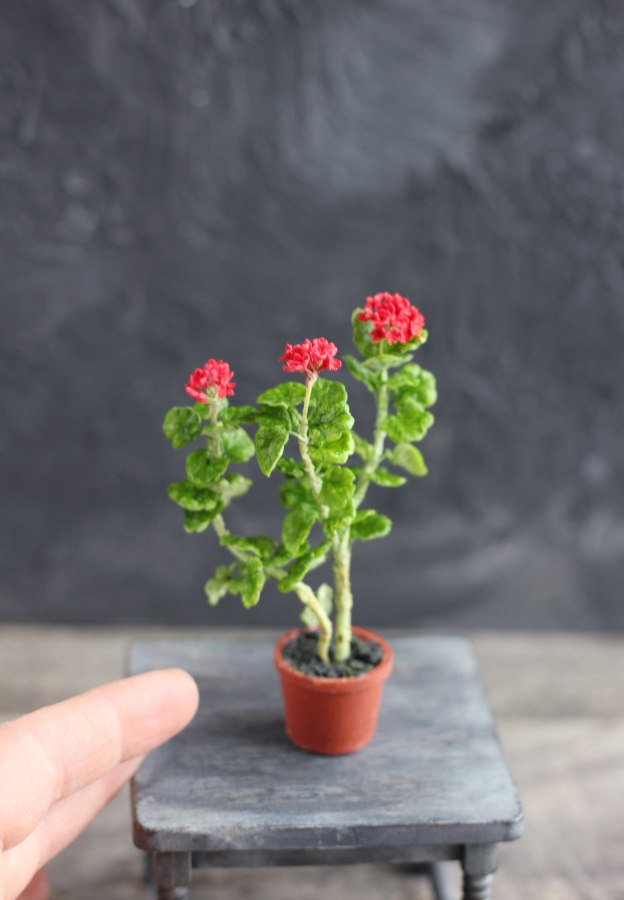 An old geranium in a 1:12 pot