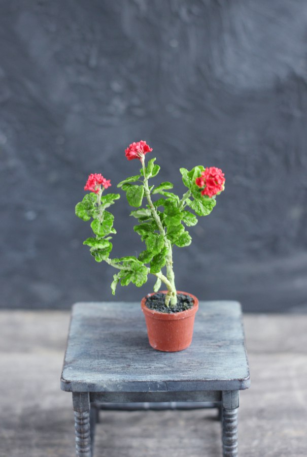 An old geranium in a 1:12 pot
