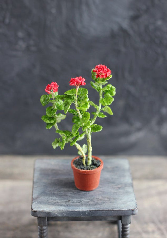 An old geranium in a 1:12 pot