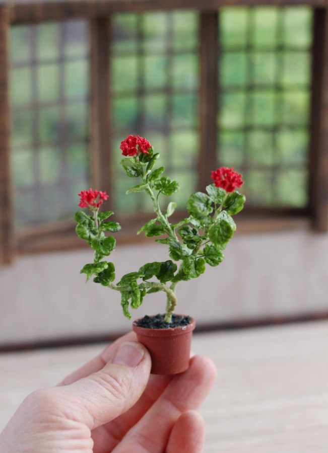 An old geranium in a 1:12 pot