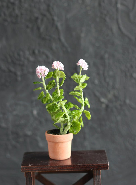 An old geranium in a 1:12 pot