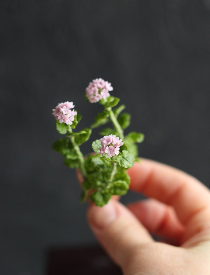 An old geranium in a 1:12 pot