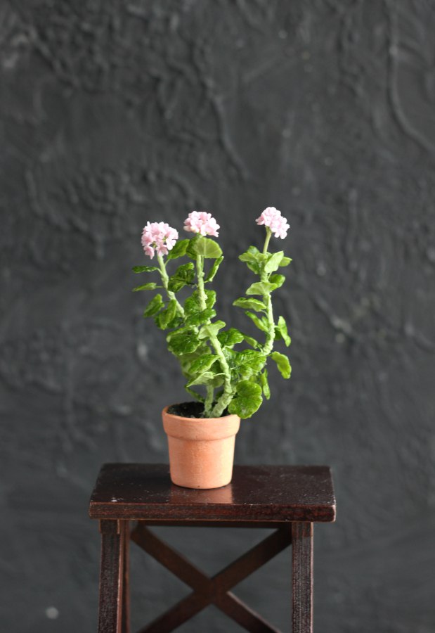 An old geranium in a 1:12 pot