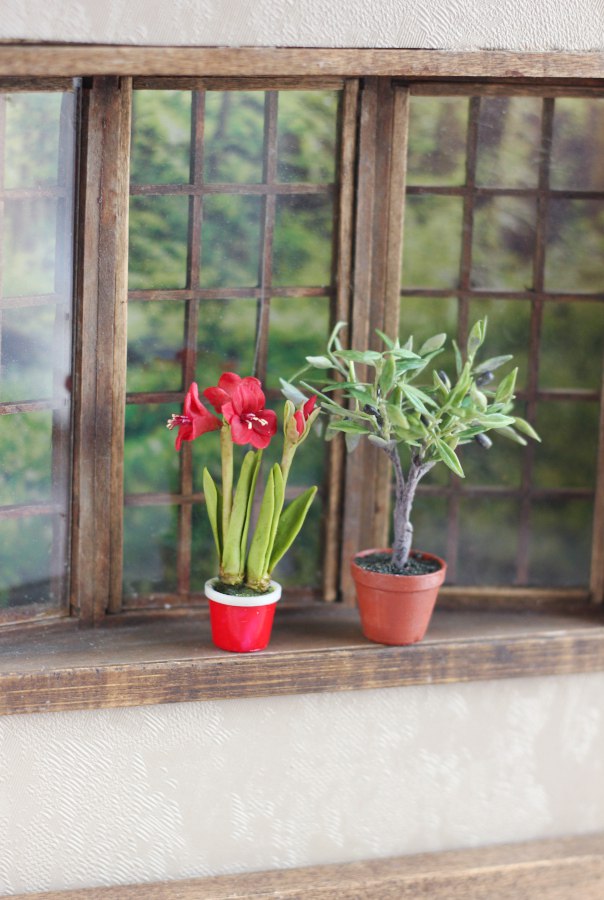 Amaryllis plant 1:12