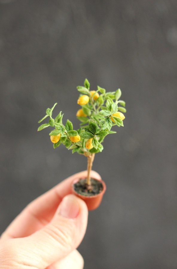 Lemon in a tub 1:12