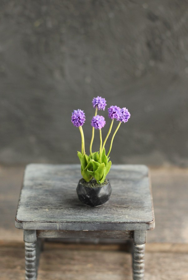 Garden composition with perennial ornamental onions 1:12