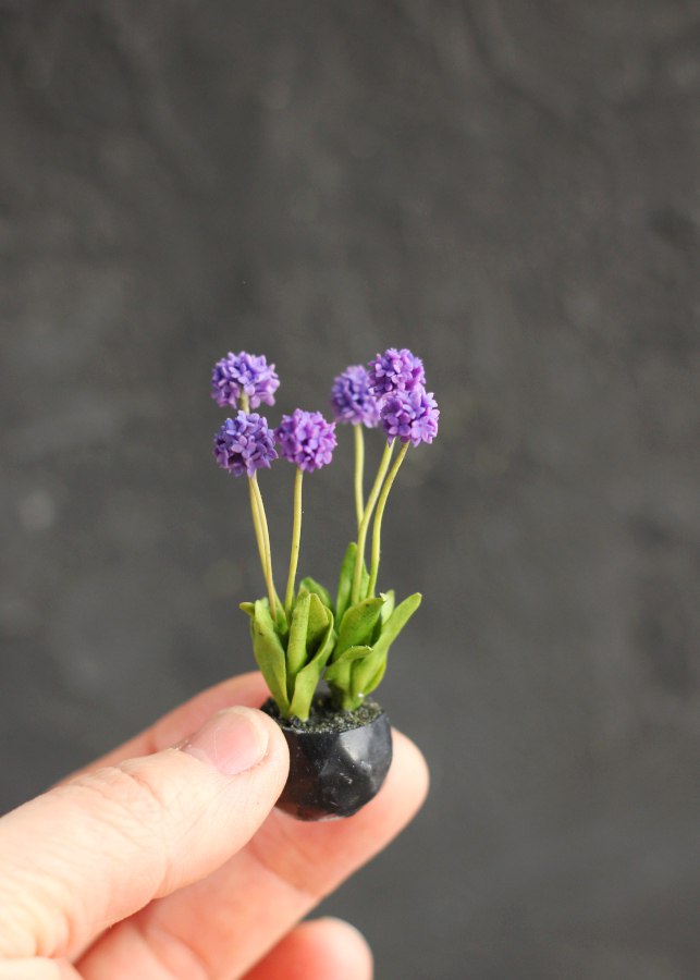 Garden composition with perennial ornamental onions 1:12