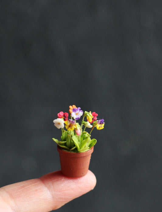 *                 Viola in flower pots 1:12