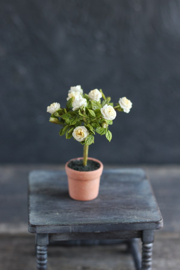 English Stemmed Rose 1:12