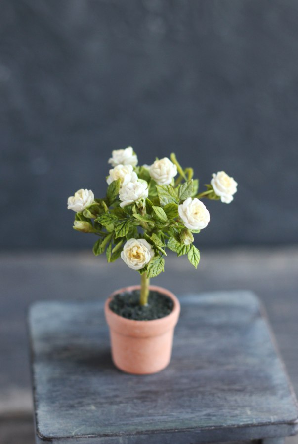 English Stemmed Rose 1:12