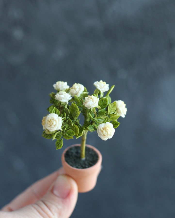 English Stemmed Rose 1:12