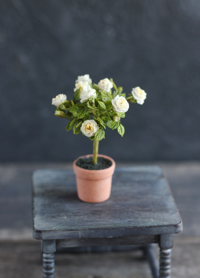 English Stemmed Rose 1:12