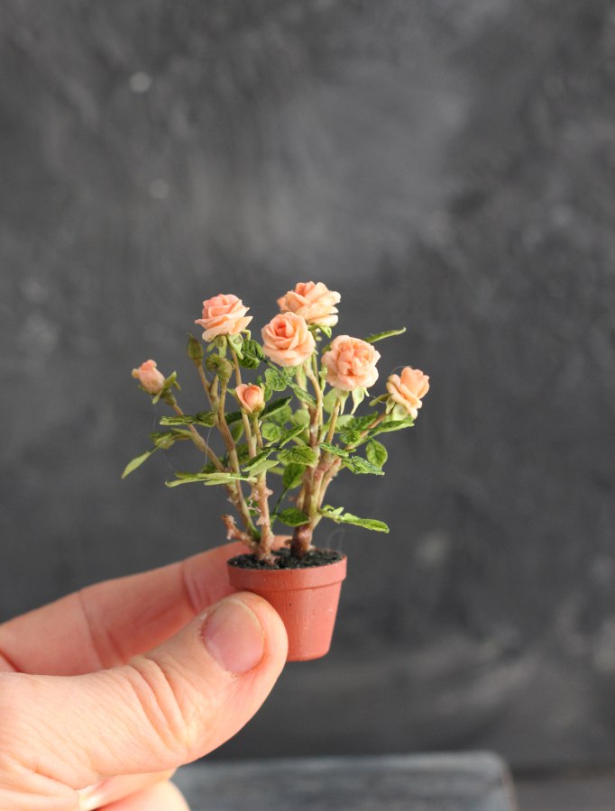 rose bush 1:12