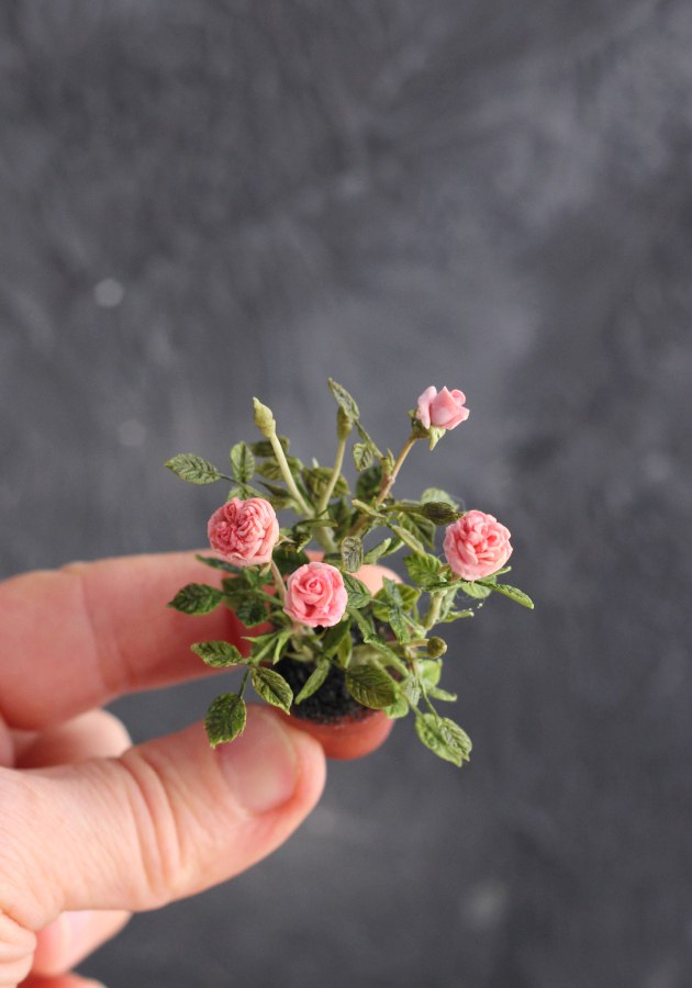 *        Rose bush 1:12