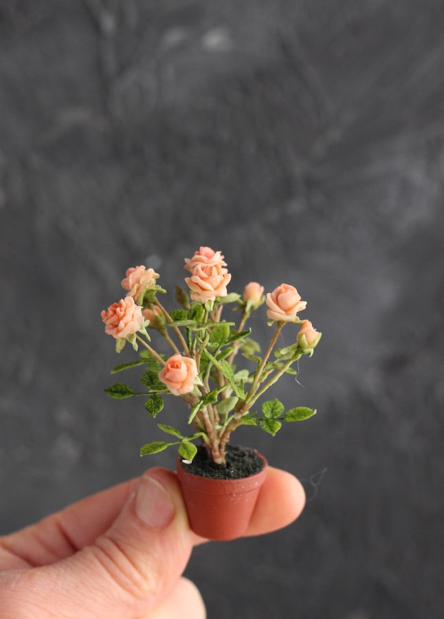 rose bush 1:12