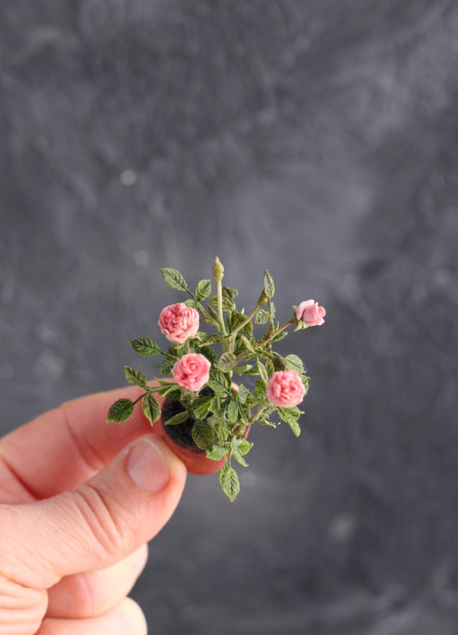 *        Rose bush 1:12