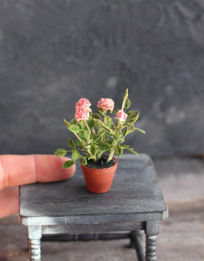 *        Rose bush 1:12