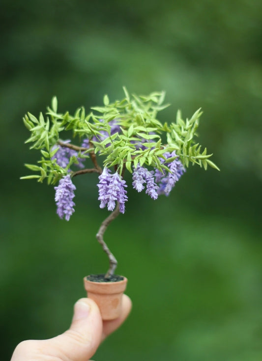 *                                      Wisteria. Potted vine. 1:12 scale for a dollhouse