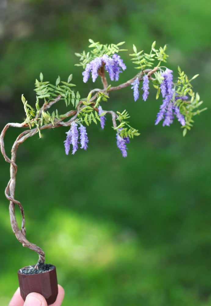 *                                                                        Wisteria in a Pot 1:12