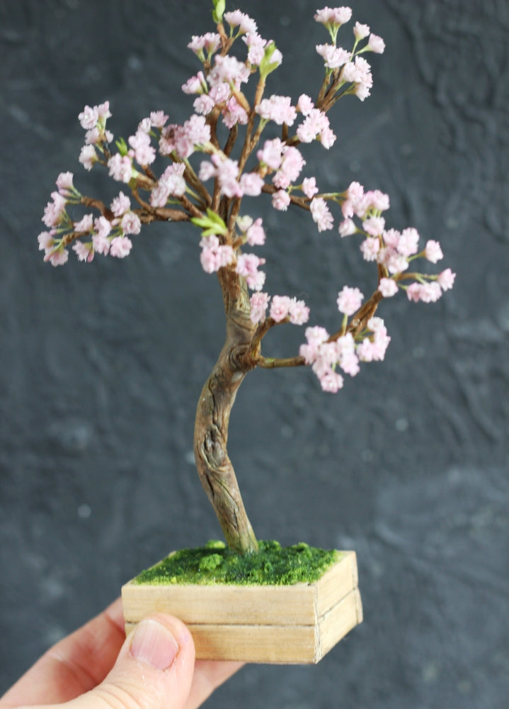 *                                             A Blooming Cherry Tree 1:12
