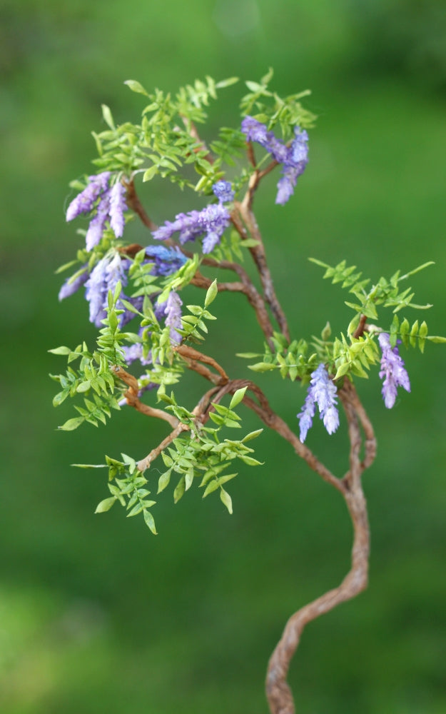 *                                                                          Wisteria in a Pot 1:12