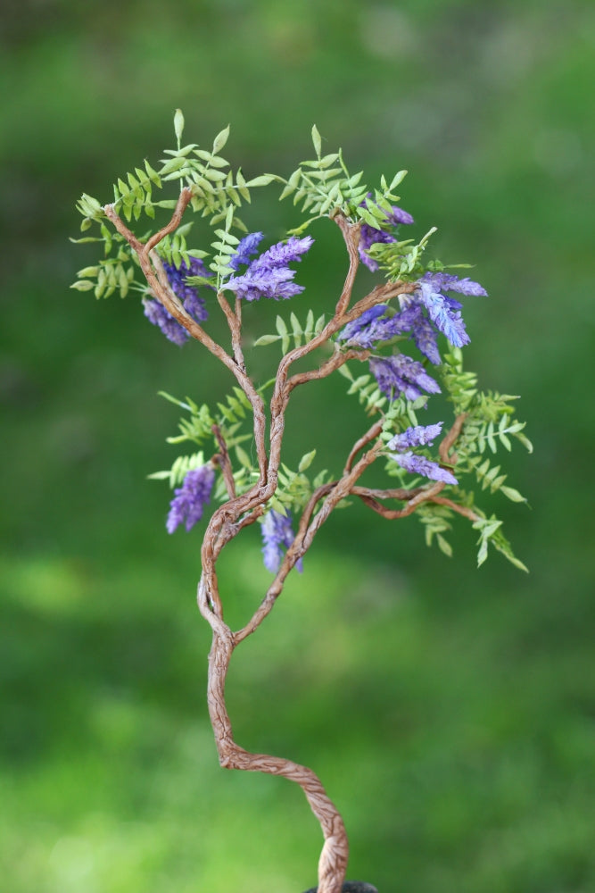 *                                                                          Wisteria in a Pot 1:12