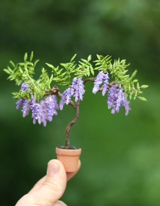 *                                      Wisteria. Potted vine. 1:12 scale for a dollhouse